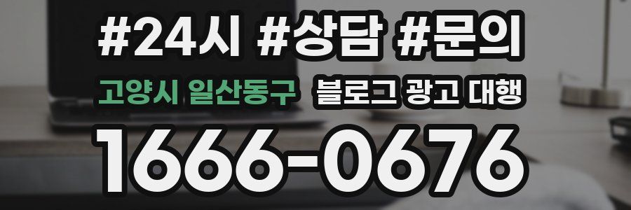 고양시 일산동구 블로그 광고 대행