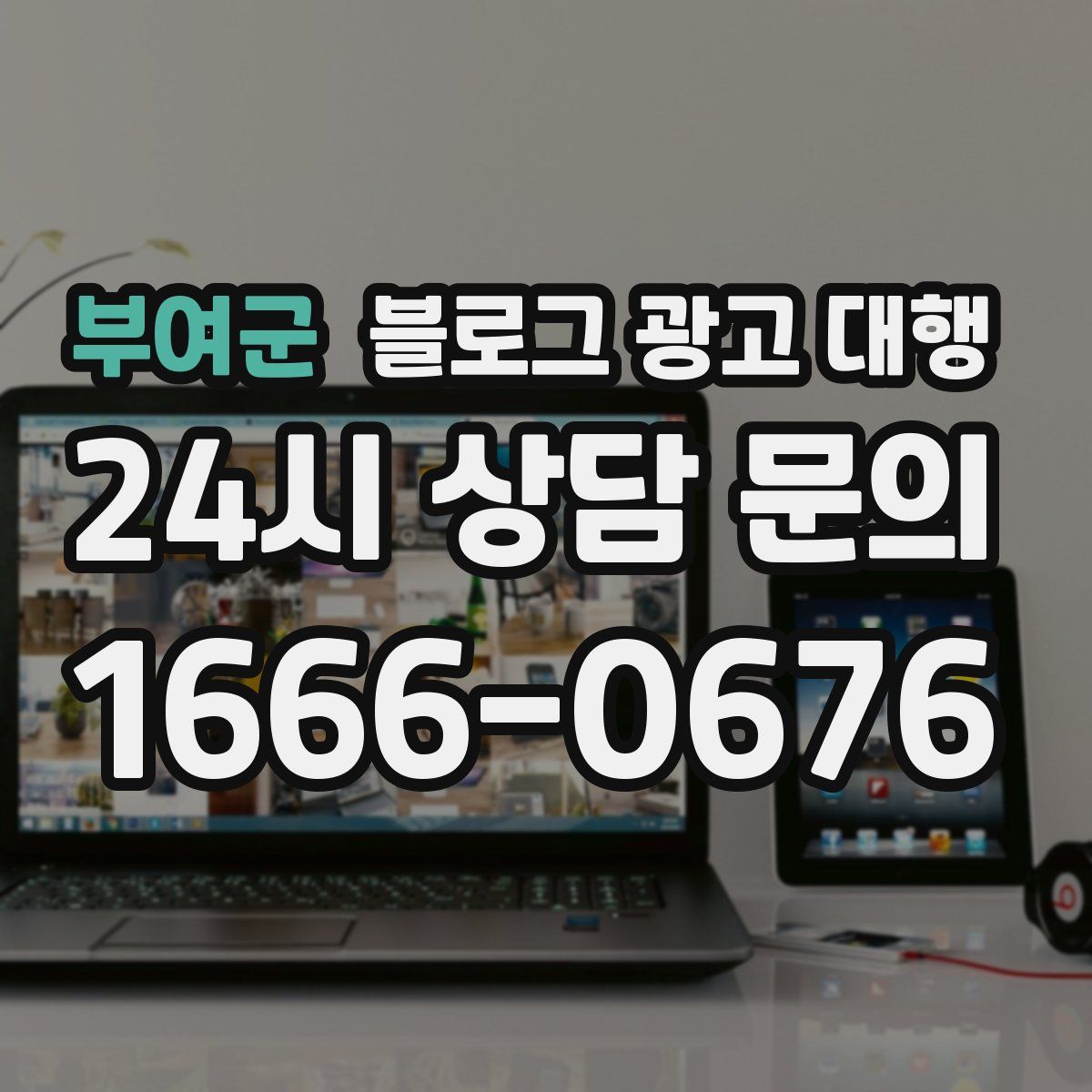 부여군 블로그 광고 대행