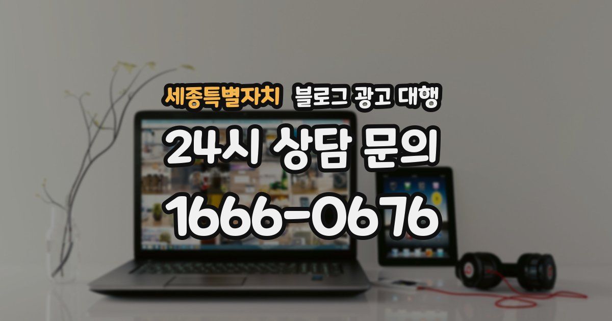 세종특별자치 블로그 광고 대행