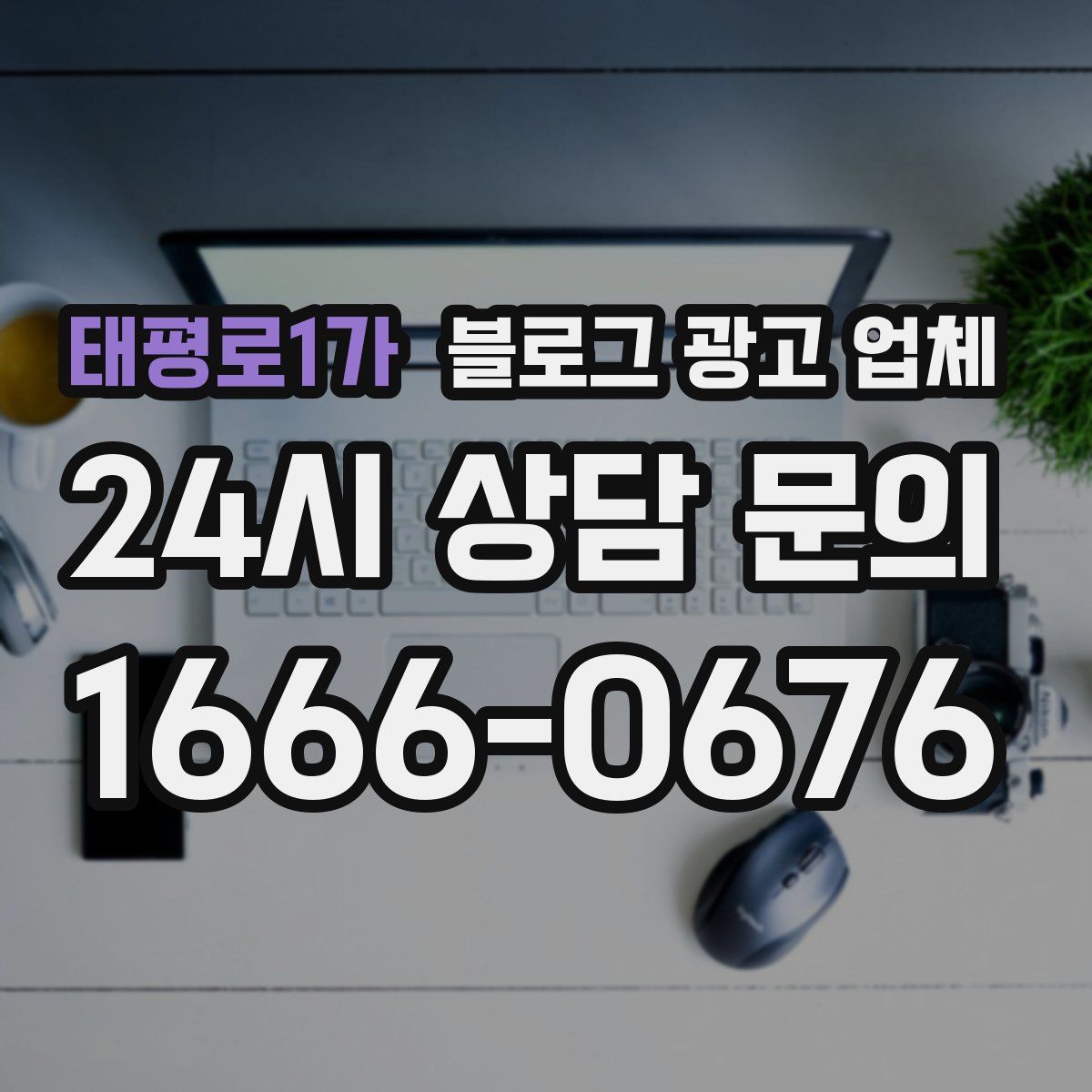 태평로1가 블로그 광고 업체