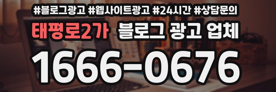 태평로2가 블로그 광고 업체