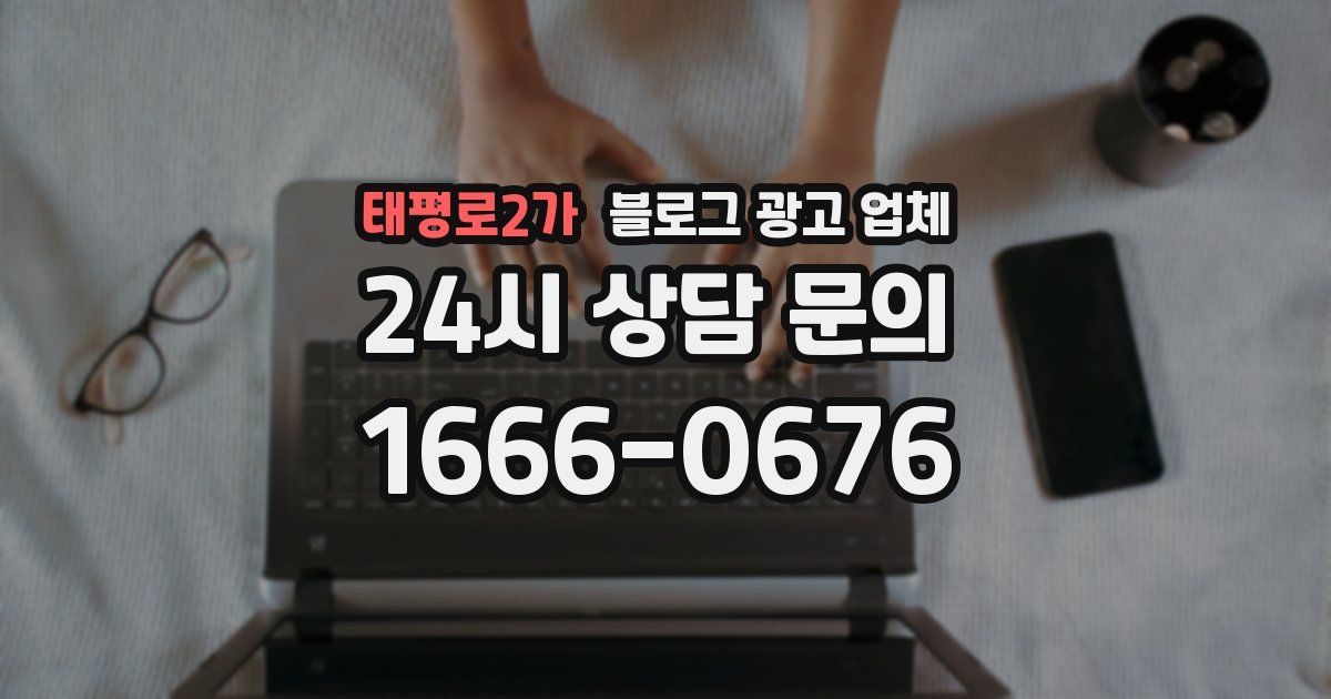태평로2가 블로그 광고 업체