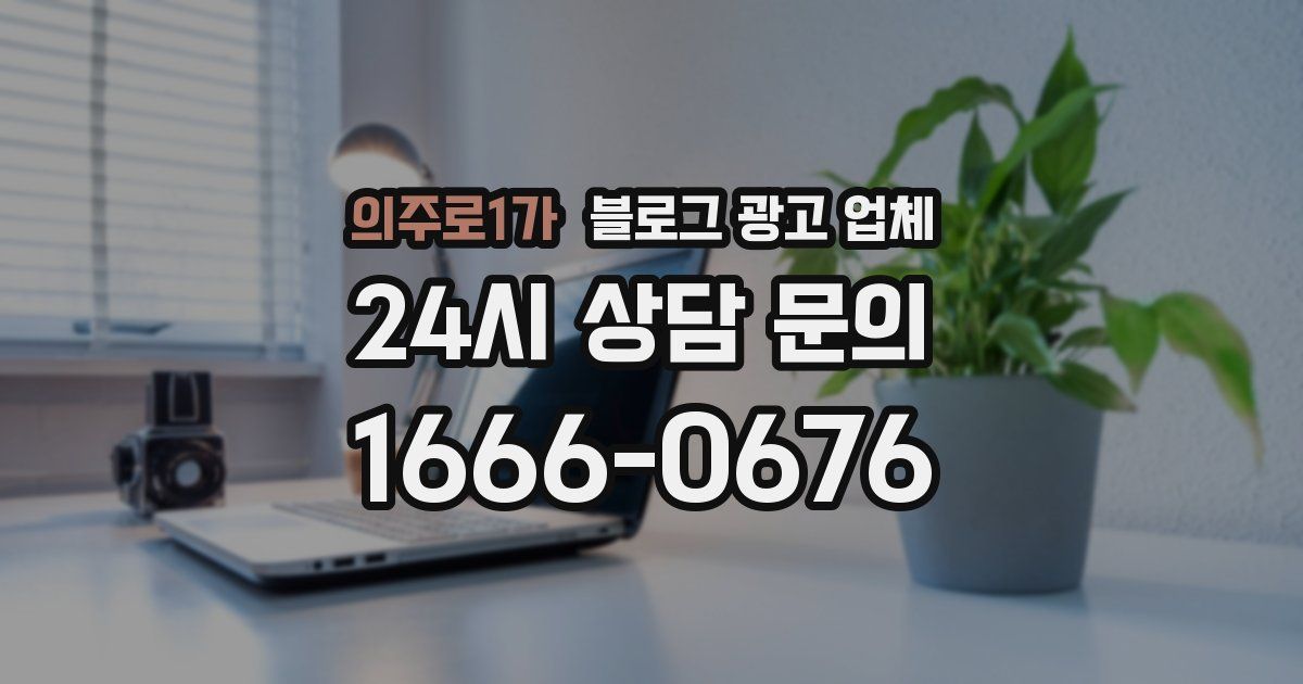 의주로1가 블로그 광고 업체