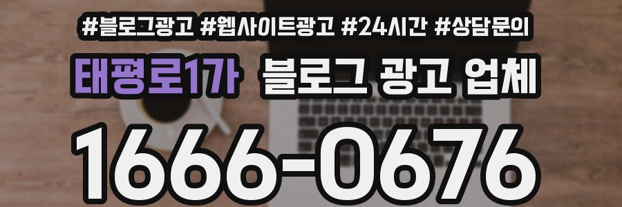 태평로1가 블로그 광고 업체