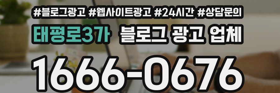 태평로3가 블로그 광고 업체