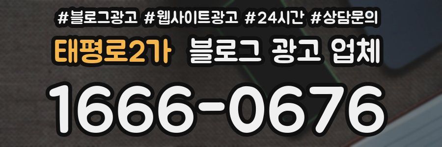 태평로2가 블로그 광고 업체
