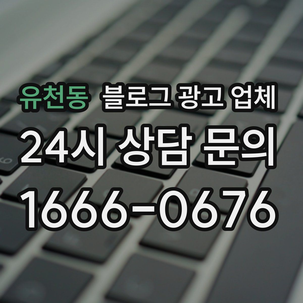 유천동 블로그 광고 업체