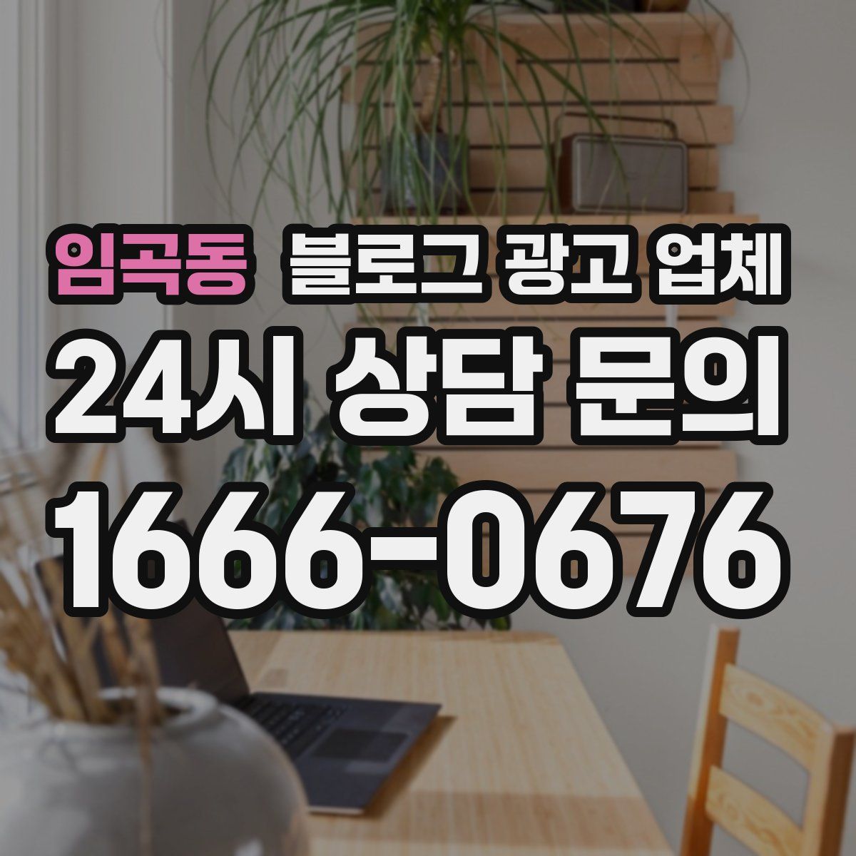 임곡동 블로그 광고 업체
