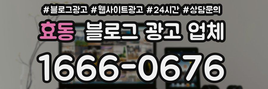 효동 블로그 광고 업체