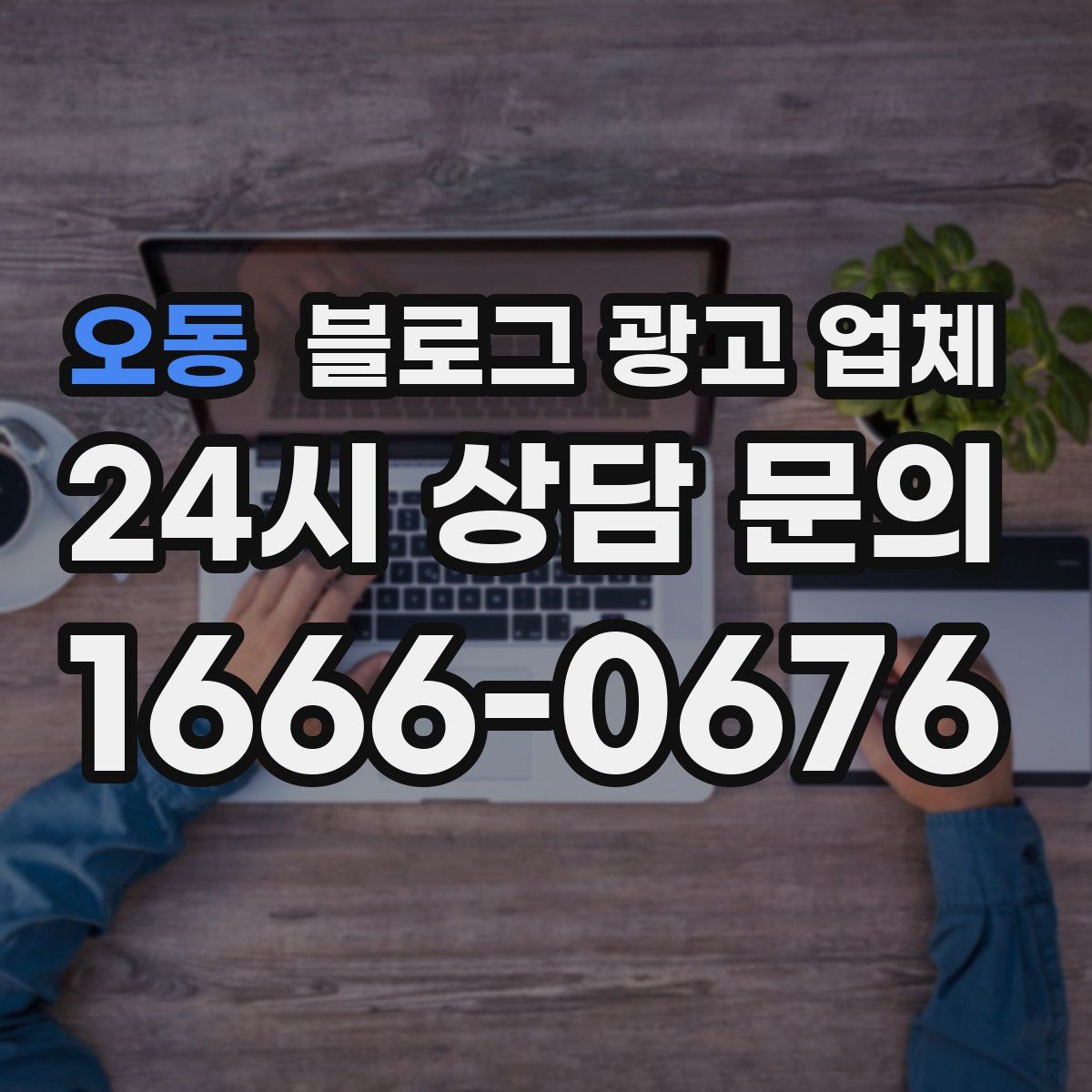 오동 블로그 광고 업체
