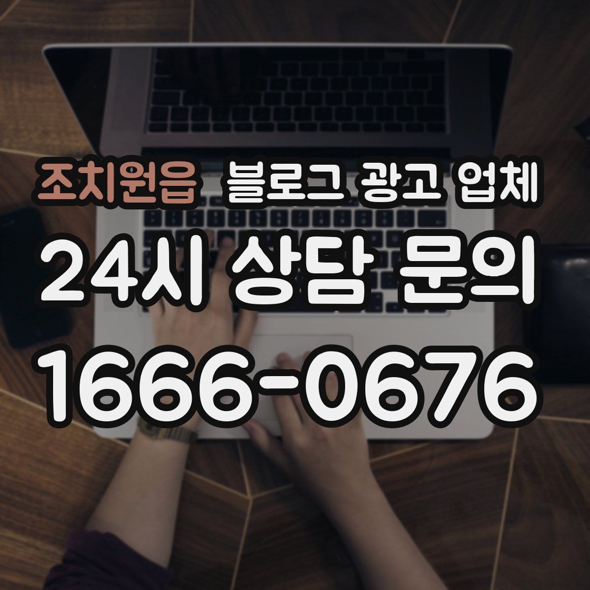 조치원읍 블로그 광고 업체