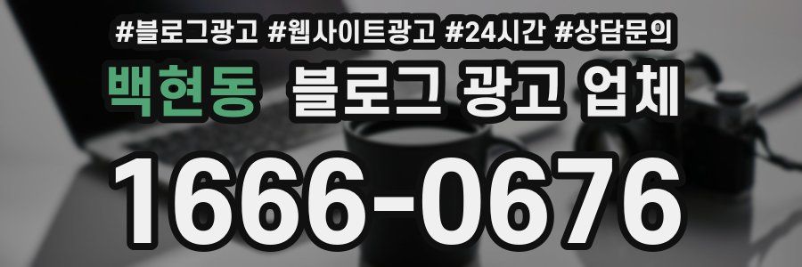 백현동 블로그 광고 업체