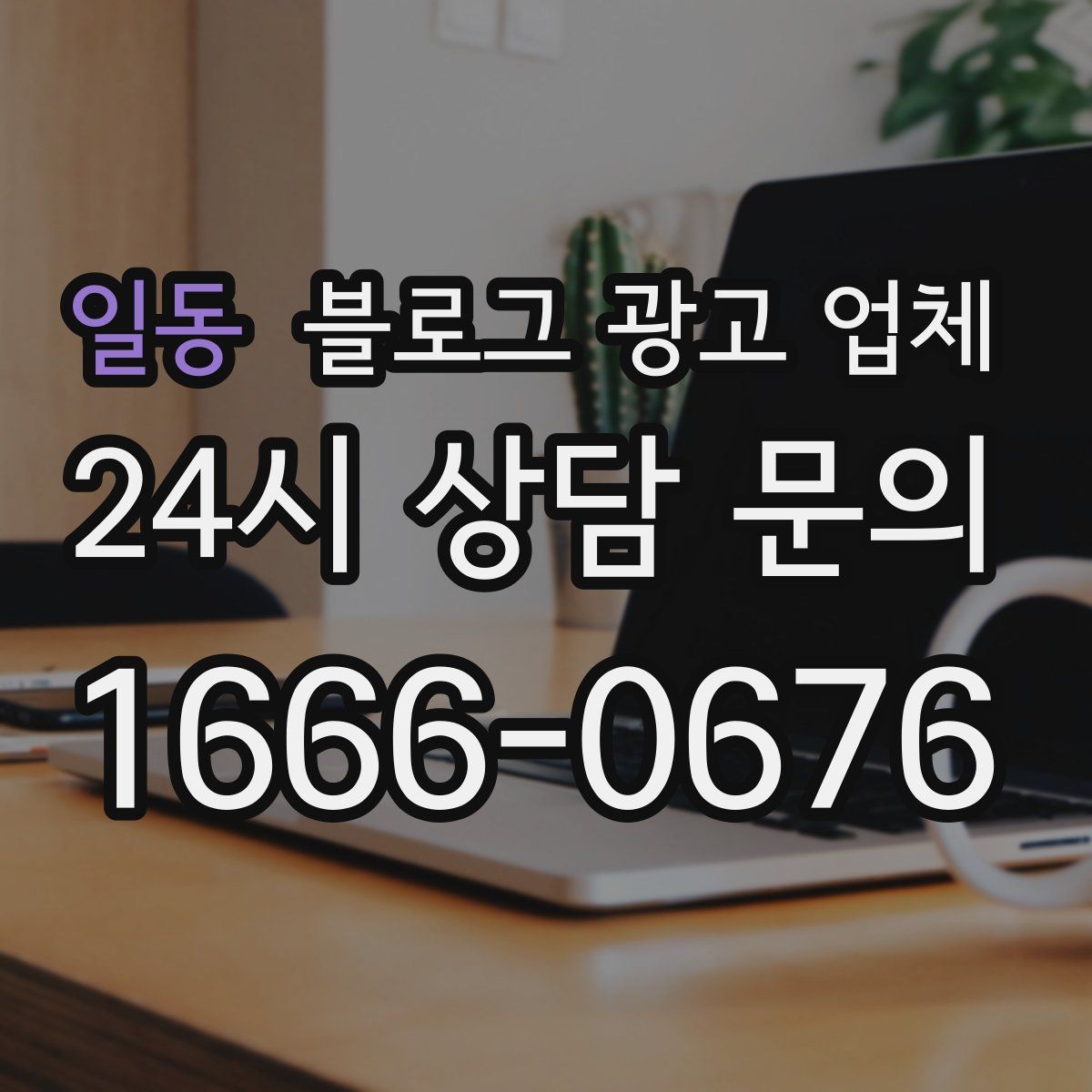 일동 블로그 광고 업체