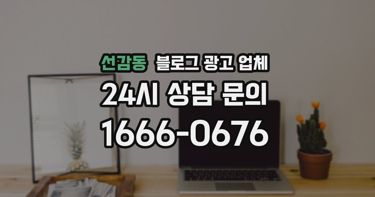 선감동 블로그 광고 업체