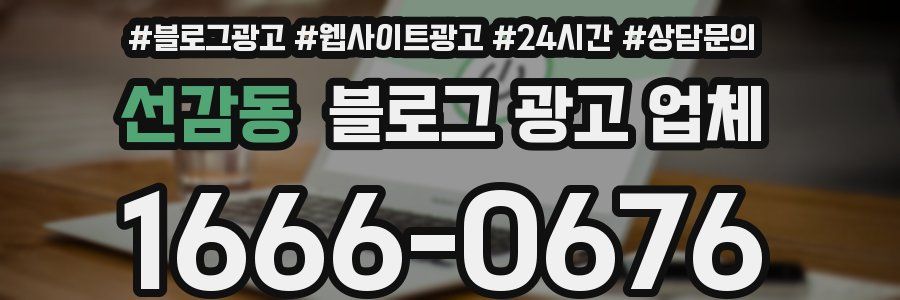 선감동 블로그 광고 업체