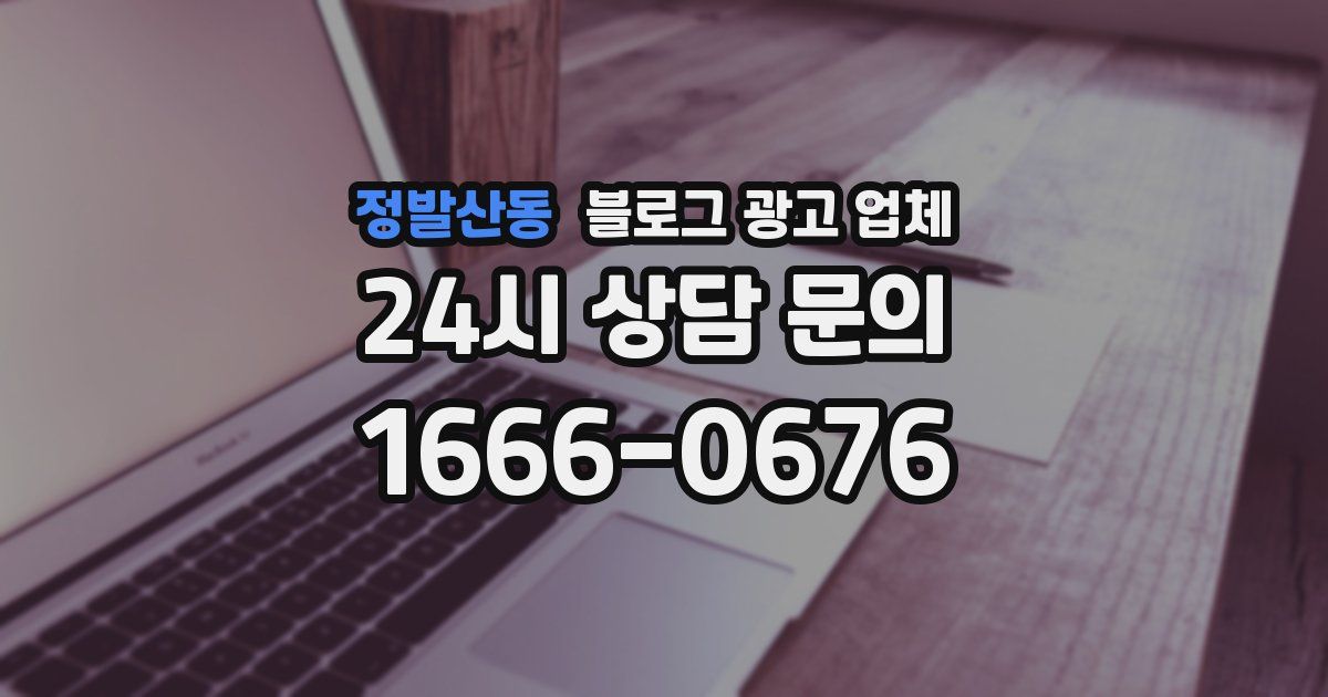 정발산동 블로그 광고 업체