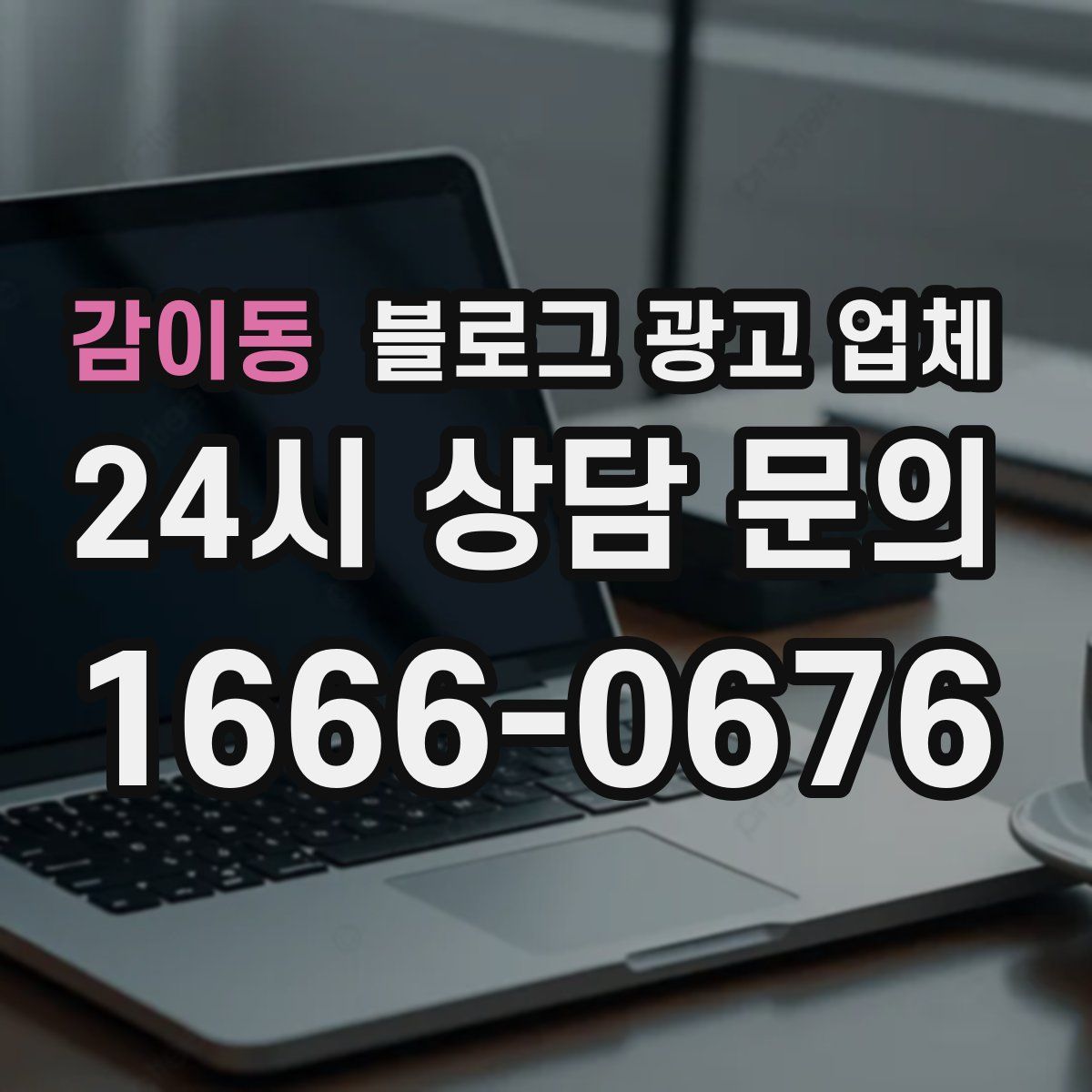 감이동 블로그 광고 업체
