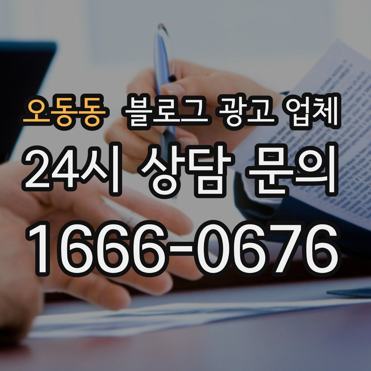오동동 블로그 광고 업체