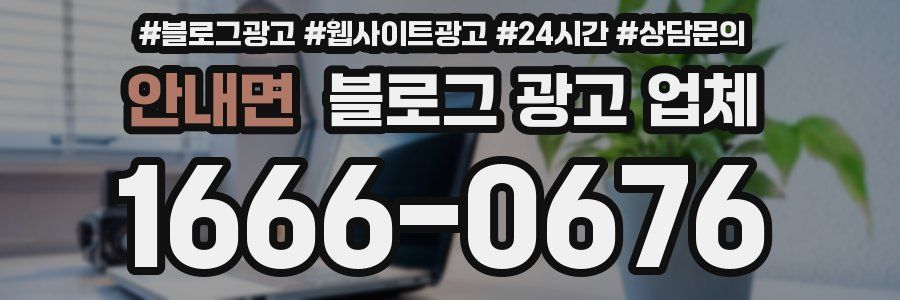 안내면 블로그 광고 업체