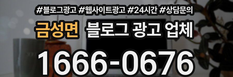 금성면 블로그 광고 업체