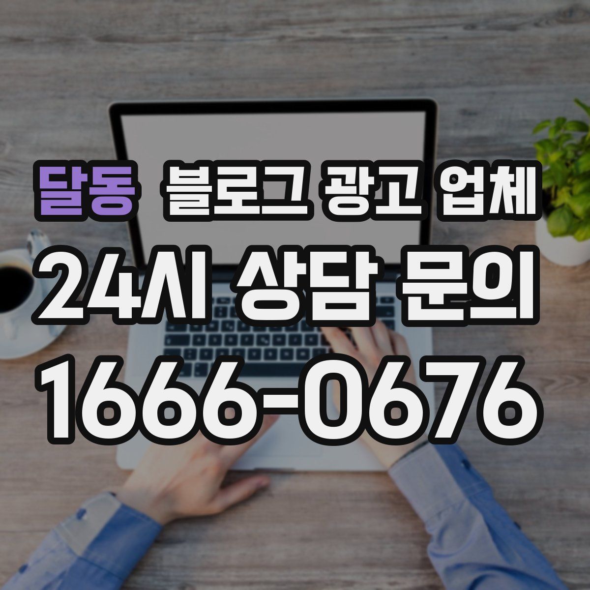 달동 블로그 광고 업체
