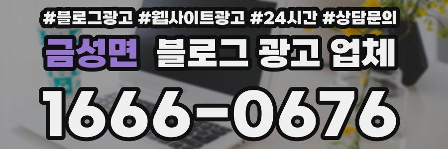 금성면 블로그 광고 업체