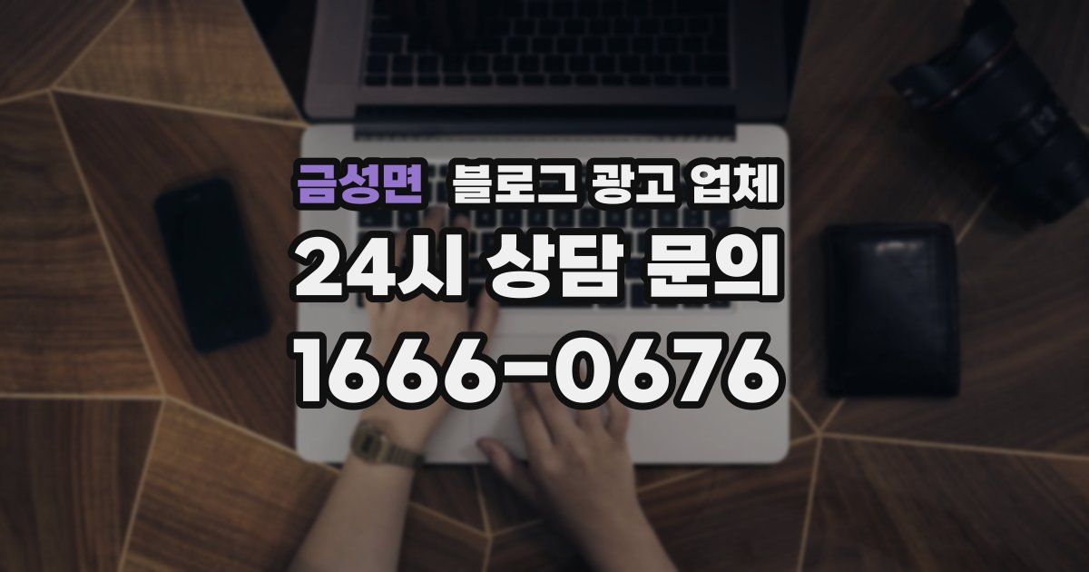 금성면 블로그 광고 업체