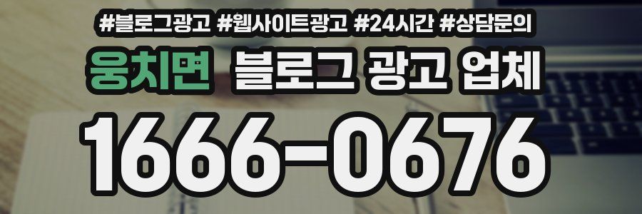 웅치면 블로그 광고 업체