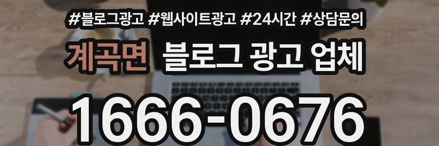 계곡면 블로그 광고 업체