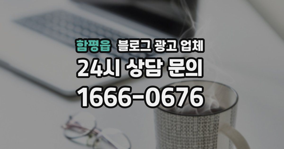 함평읍 블로그 광고 업체