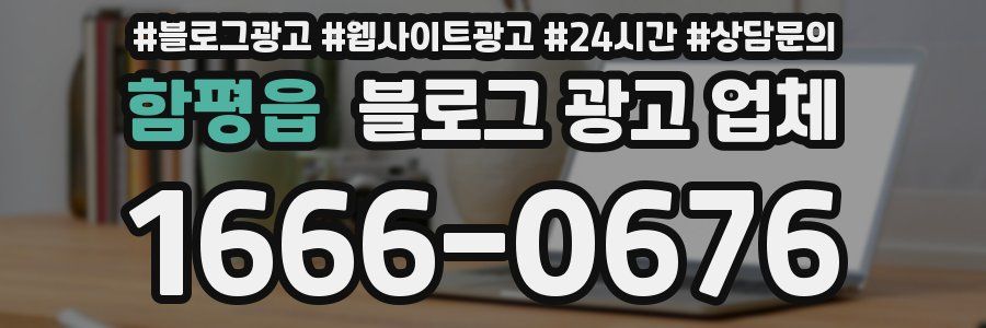 함평읍 블로그 광고 업체