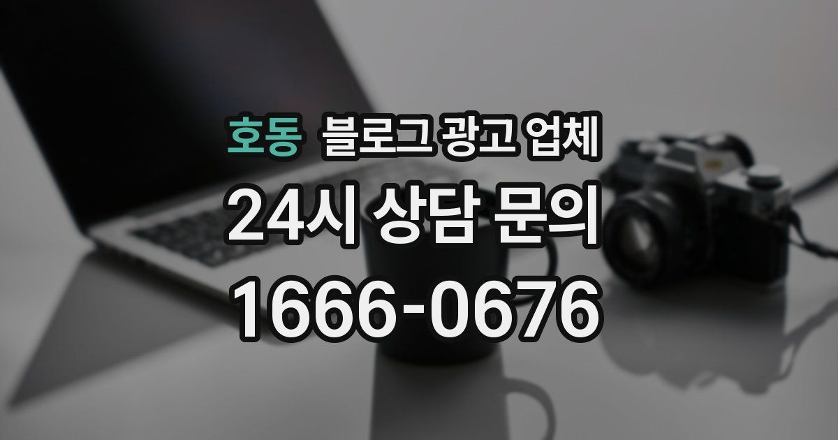 호동 블로그 광고 업체