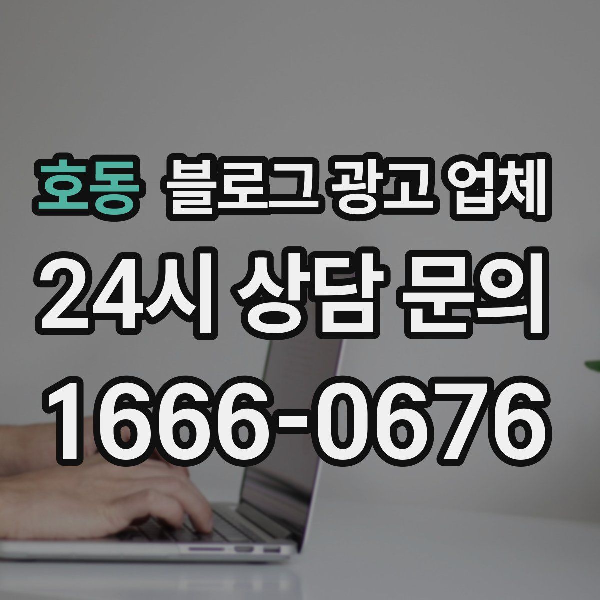 호동 블로그 광고 업체