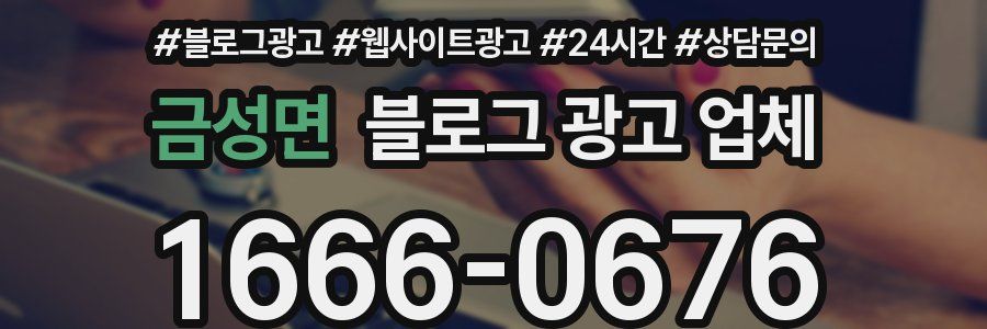 금성면 블로그 광고 업체