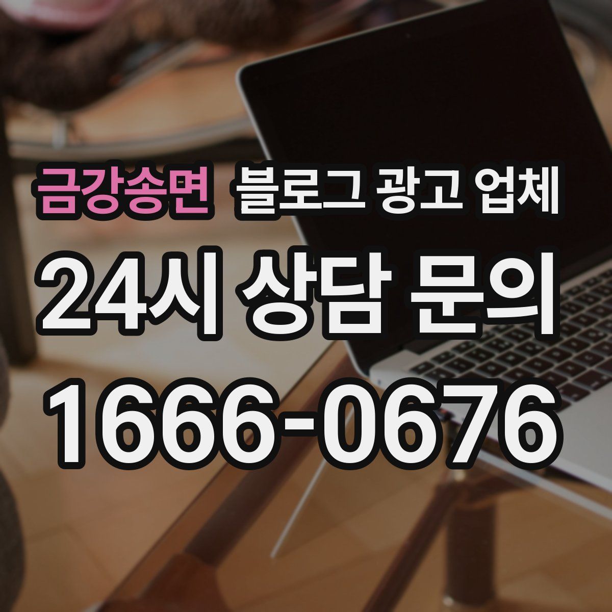 금강송면 블로그 광고 업체