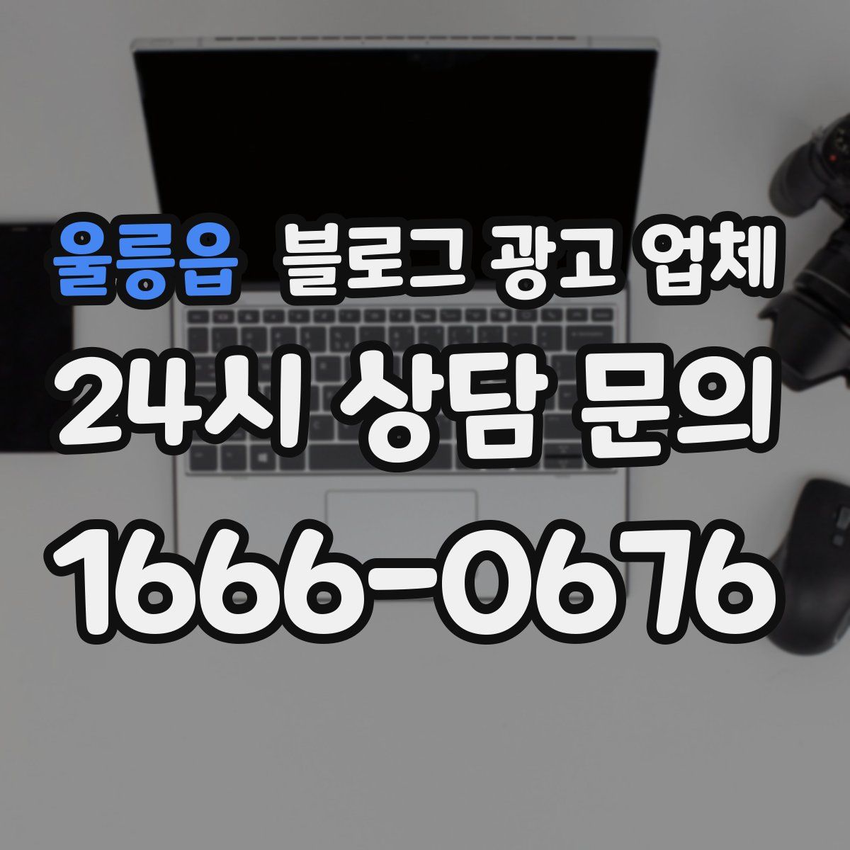 울릉읍 블로그 광고 업체