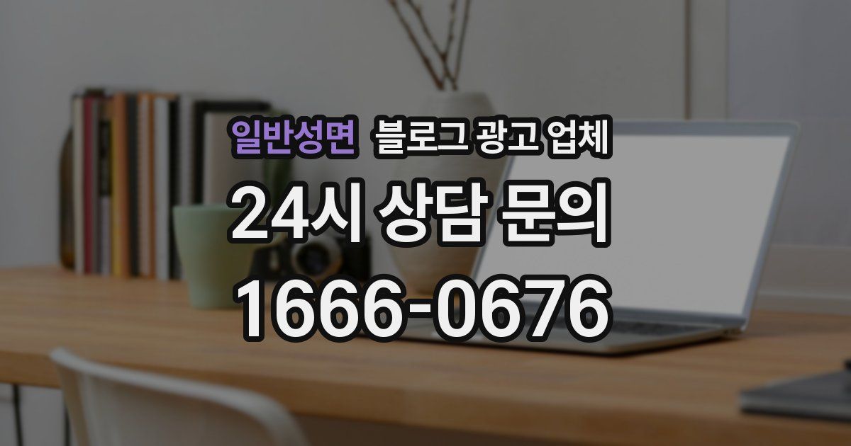 일반성면 블로그 광고 업체