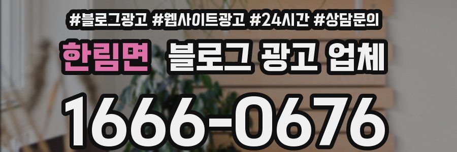 한림면 블로그 광고 업체
