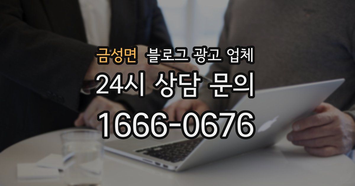 금성면 블로그 광고 업체
