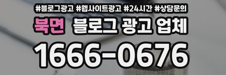 북면 블로그 광고 업체