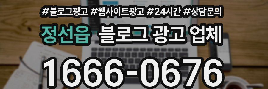정선읍 블로그 광고 업체