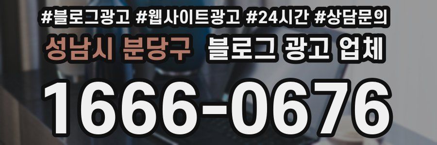 성남시 분당구 블로그 광고 업체