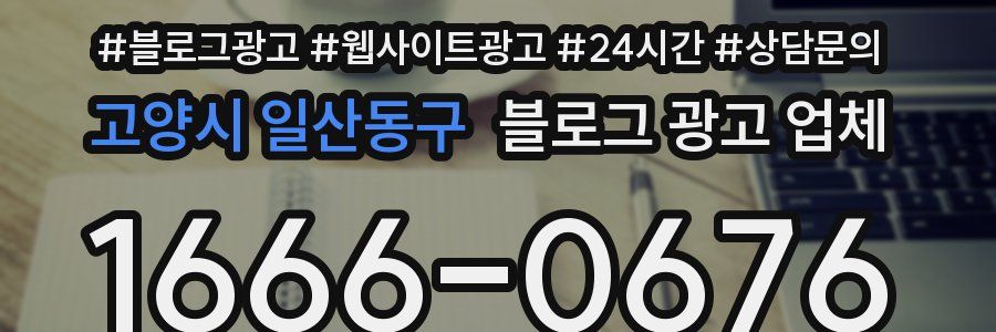 고양시 일산동구 블로그 광고 업체