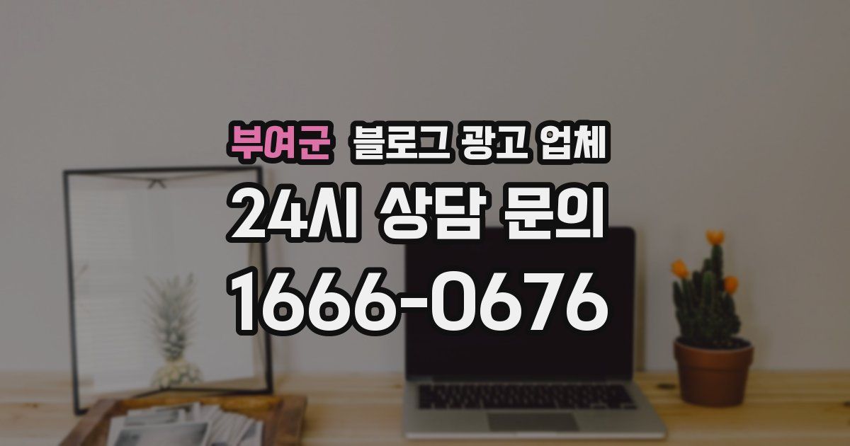 부여군 블로그 광고 업체