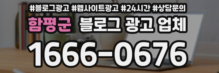 함평군 블로그 광고 업체