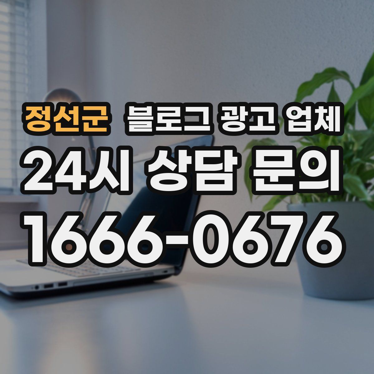 정선군 블로그 광고 업체