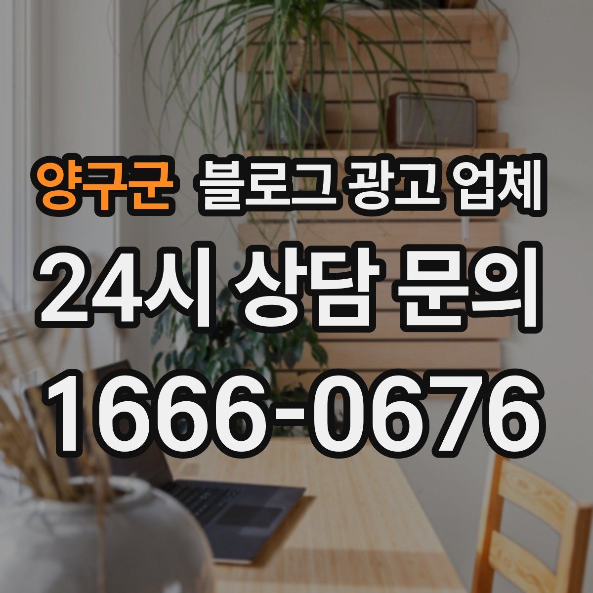 양구군 블로그 광고 업체
