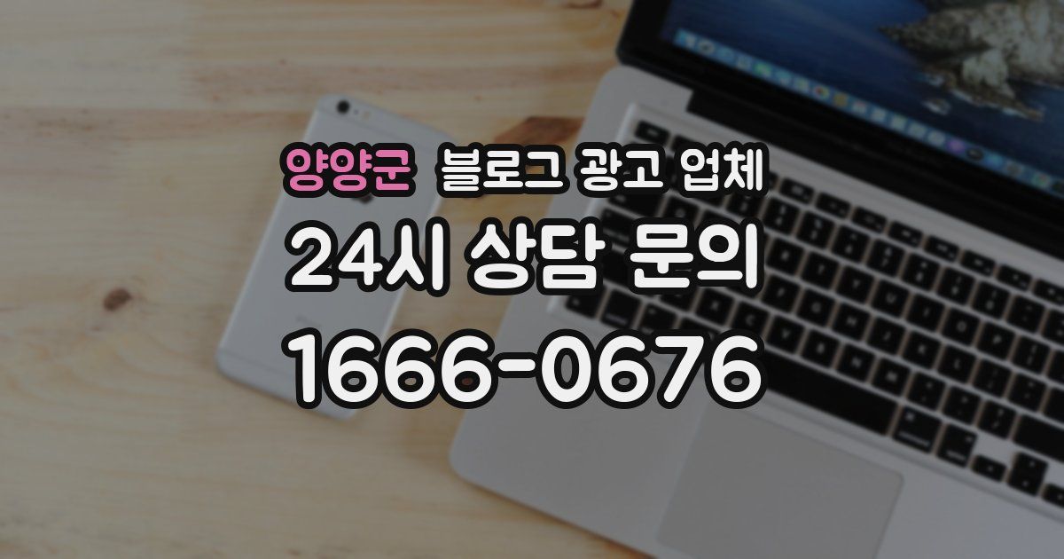 양양군 블로그 광고 업체