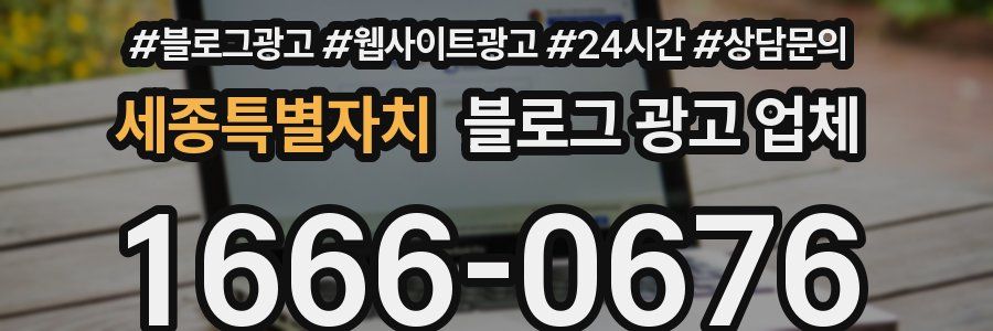 세종특별자치 블로그 광고 업체