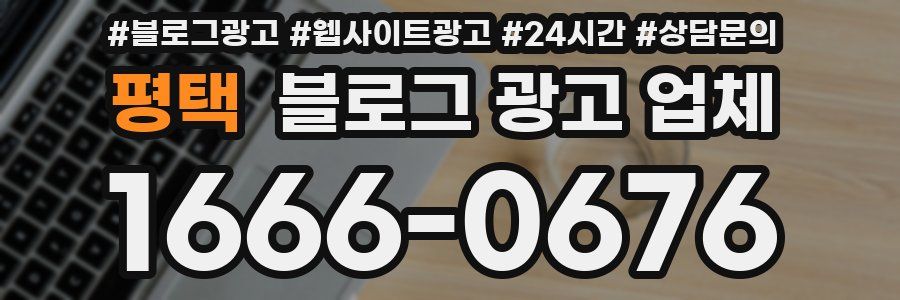평택 블로그 광고 업체